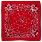 Red Paisley / One Size